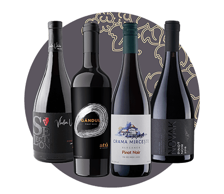 Weinpaket 50 Facetten von Pinot Noir: vier Pinot Noirs aus Moldawien zum Aromatik-Vergleich (Frucht, Holz, Reife)