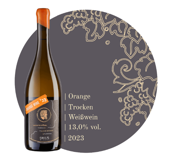 Divus Orange Wine 2023 – trockener moldawischer Orange Wine, Produktfoto
