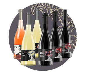 MOLDAWINE | Best for You, Paket, Geschenk, Geschenkidee, Weihnachten, Fest, Geburtstag, Jetzt premium Weine kaufen - Entdecken Sie den Geschmack und das Lebensgefühl Moldawiens. Genießen Sie authentisch produzierte moldawische Weine aus autochthonen Rebsorten. Einfach bequem online bestellen und wir bringen die besten moldawischen Weine zu Ihnen nach Hause. Wein aus Moldawien kaufen; moldawischer Wein; prämierte weine; guter rotwein; rotwein einkaufen; roséwein; orange wine; wein geschenk;