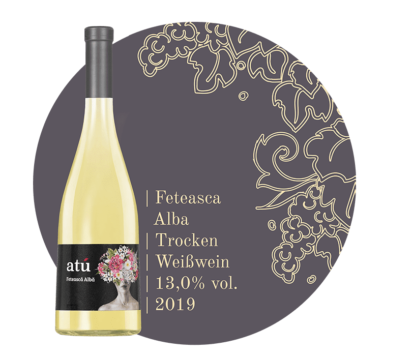 Feteasca alba 2019 - Weißwein von Atu Winery MOLDAWINE Wein aus Moldawien kaufen