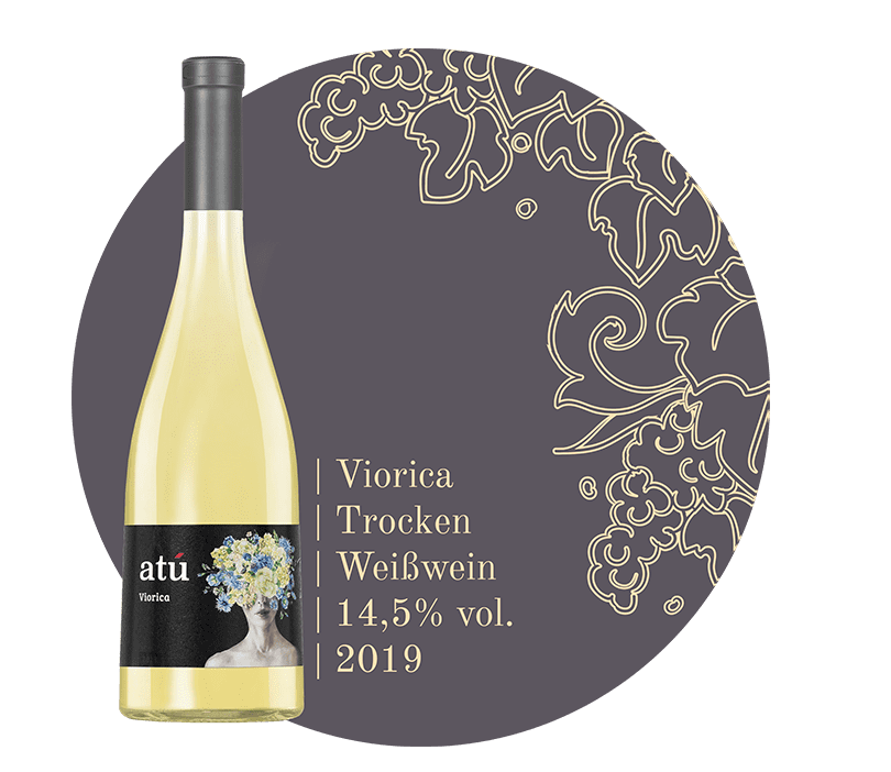 MOLDAWINE | ATU Winery – Viorica; Jetzt premium Weine kaufen - Entdecken Sie den Geschmack und das Lebensgefühl Moldawiens. Genießen Sie authentisch produzierte moldawische Weine aus autochthonen Rebsorten. Einfach bequem online bestellen und wir bringen die besten moldawischen Weine zu Ihnen nach Hause. Wein aus Moldawien kaufen; moldawischer Wein; prämierte weine; guter rotwein; rotwein einkaufen; roséwein; orange wine; wein geschenk;
